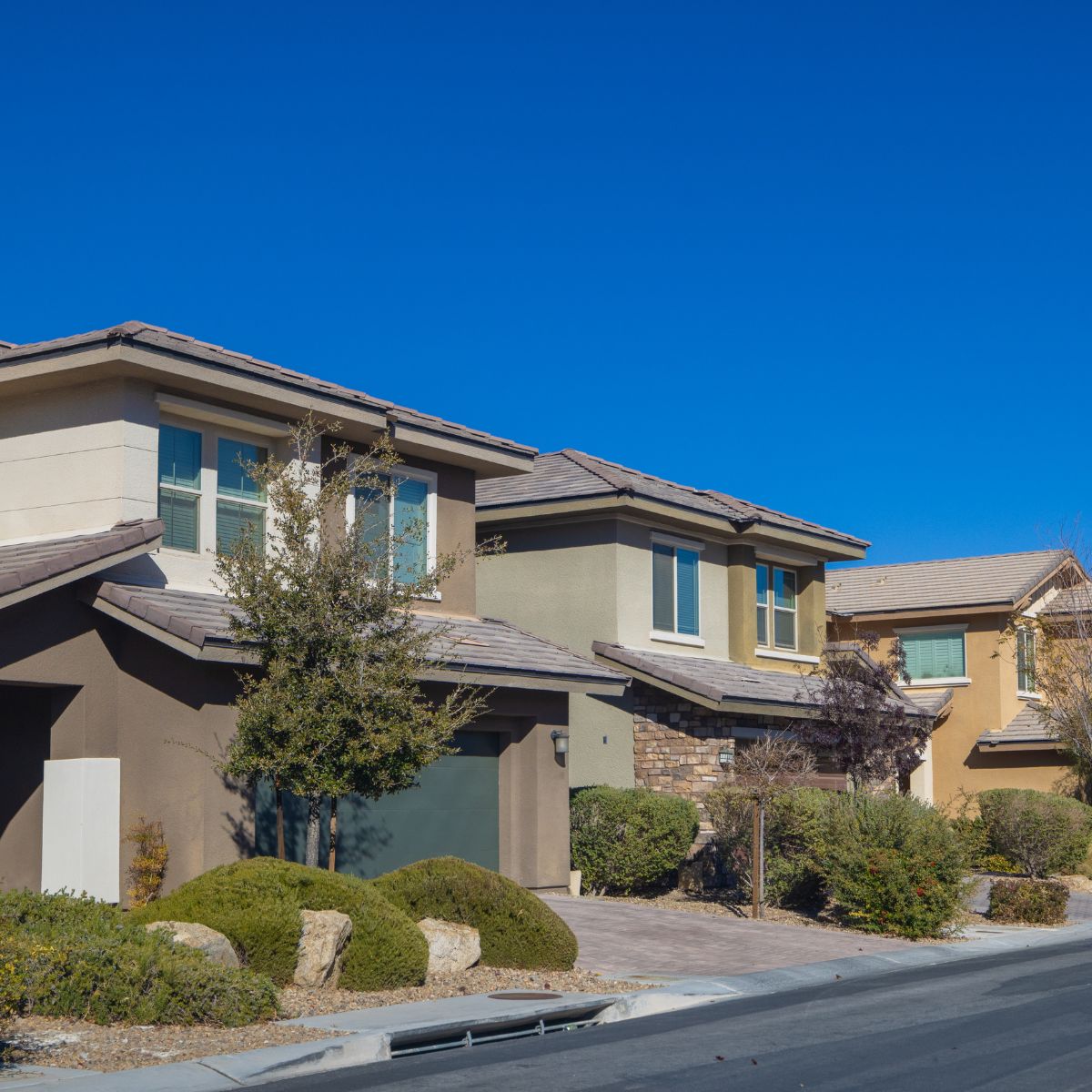 Las Vegas neighborhood commonly affected by scorpion activity